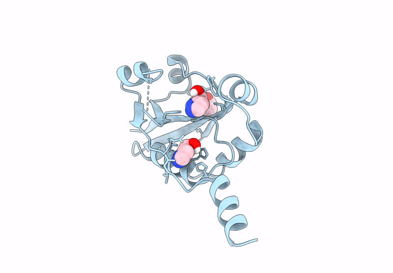 9HSV image
