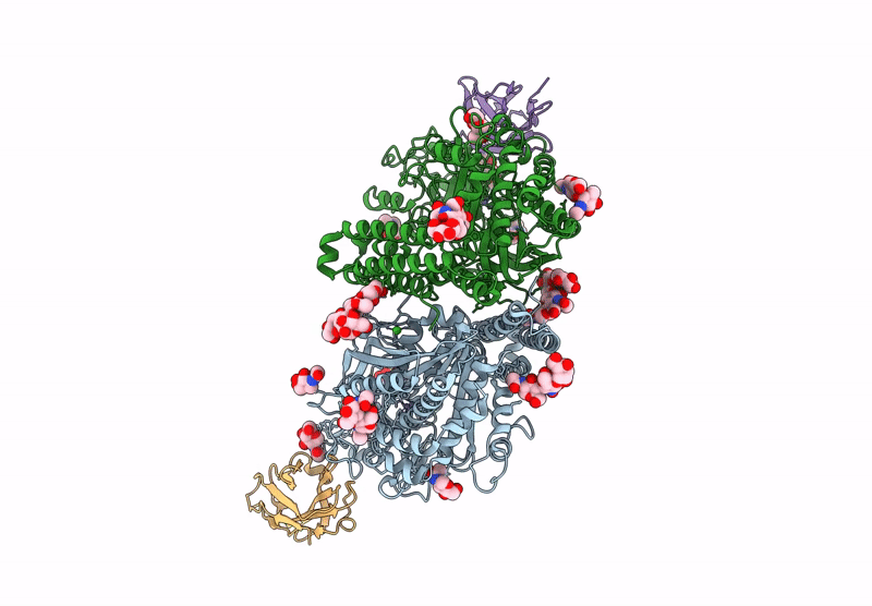 9HVI image