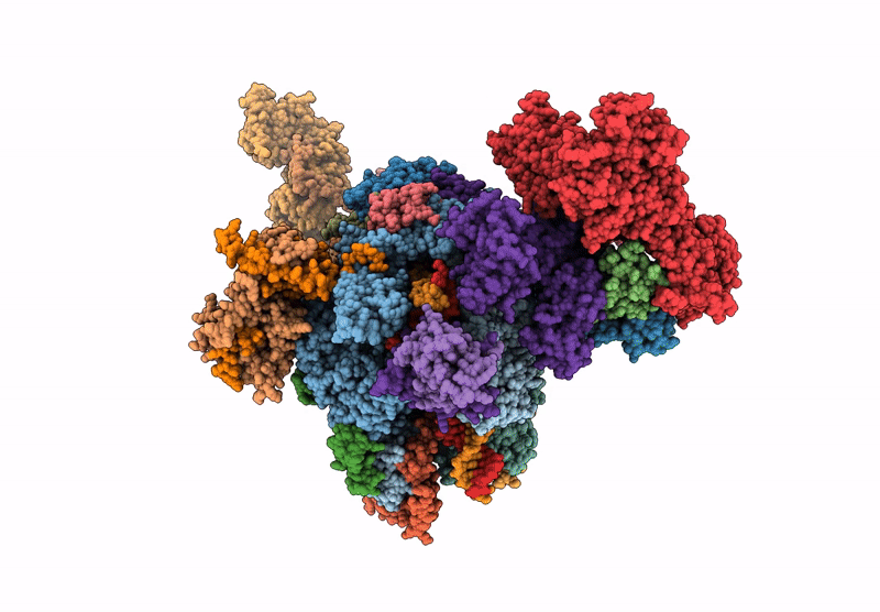 9HVQ image