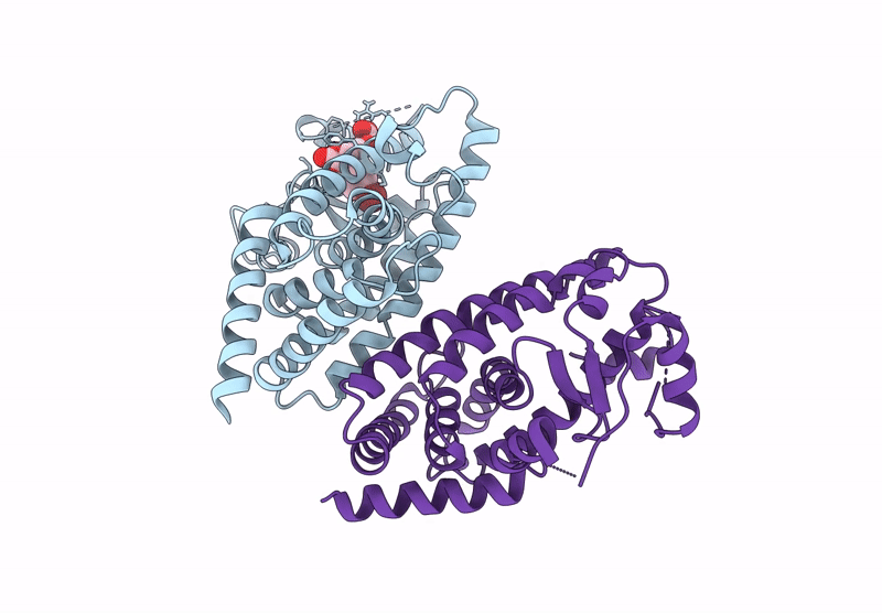 9HX2 image