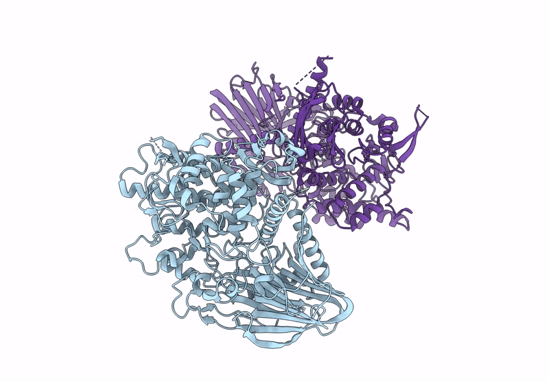 9HYQ image