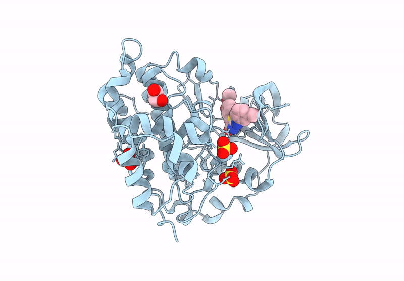 9I10 image