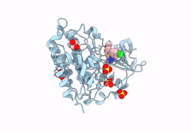 9I17 image