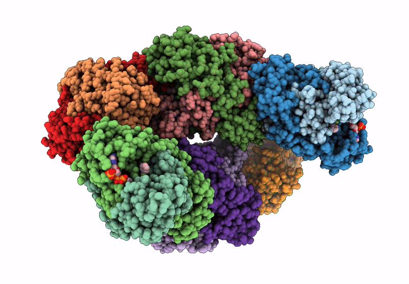 9I2W image