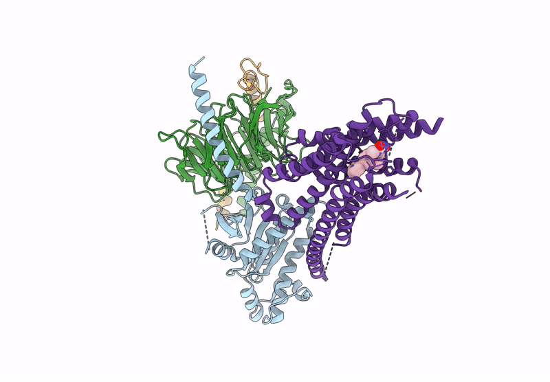 9I52 image