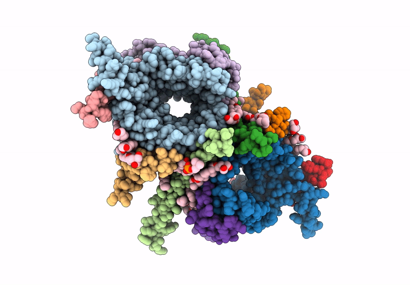 9I6B image