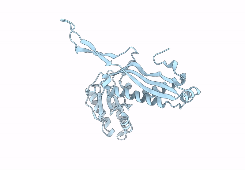 9I8D image
