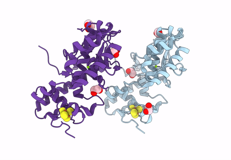 9IAC image