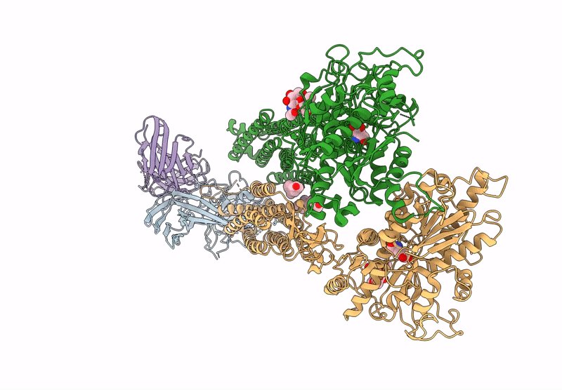 9II3 image