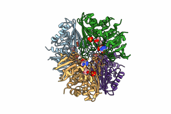 9IIM image