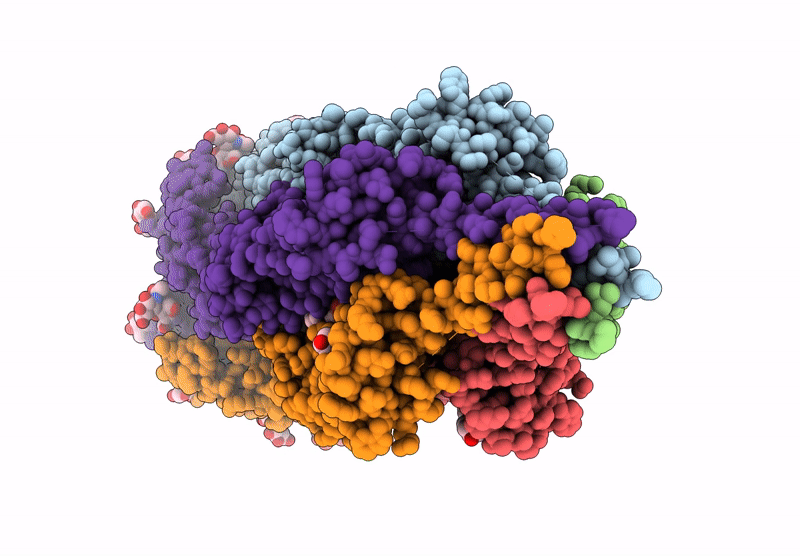 9IIR image