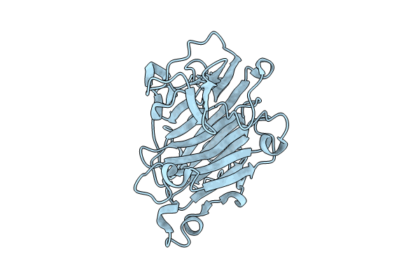9IJC image