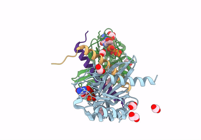 9IKQ image