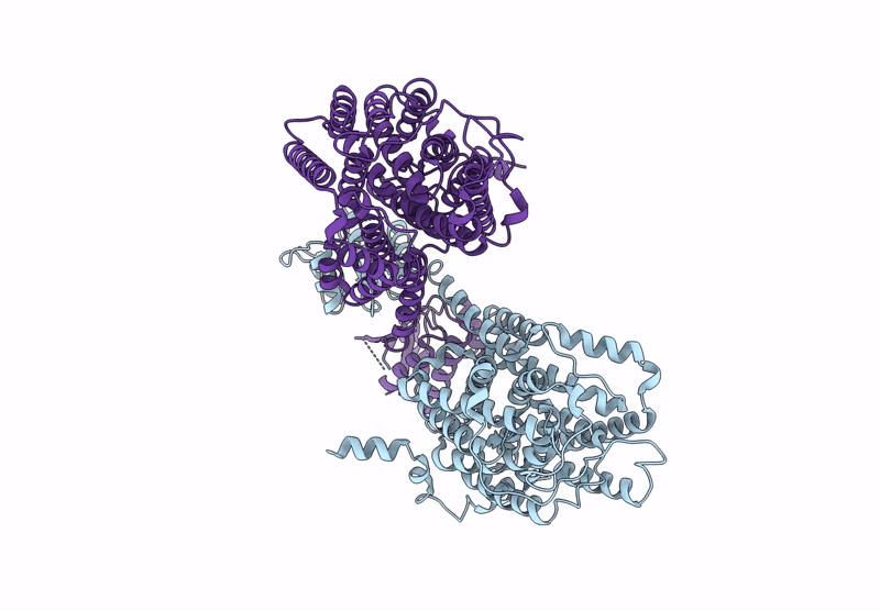 9IKV image