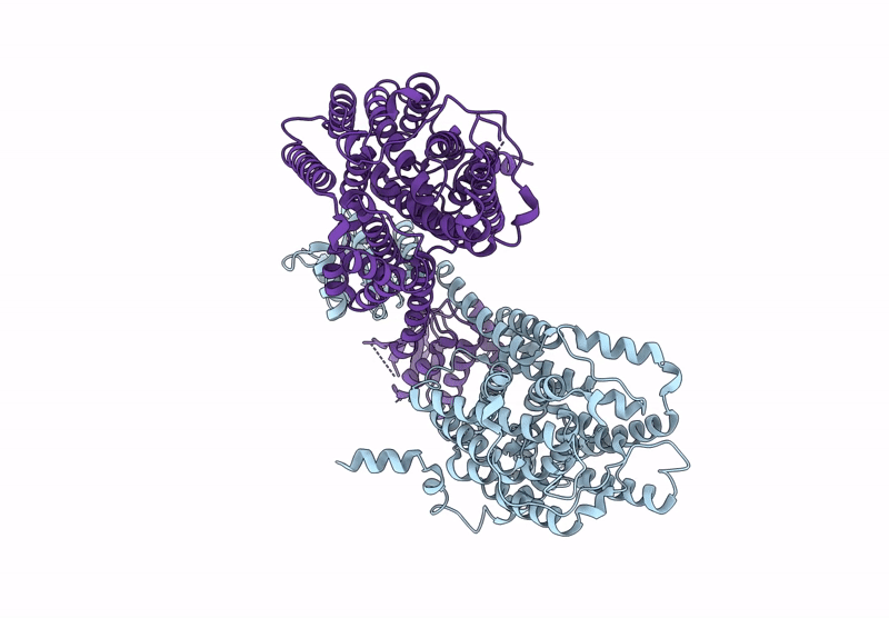 9IKX image