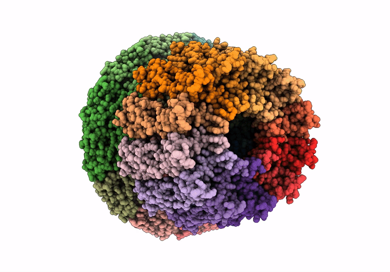9ILP image