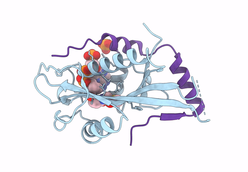 9ILR image