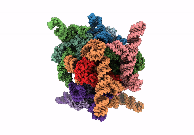 9IOB image