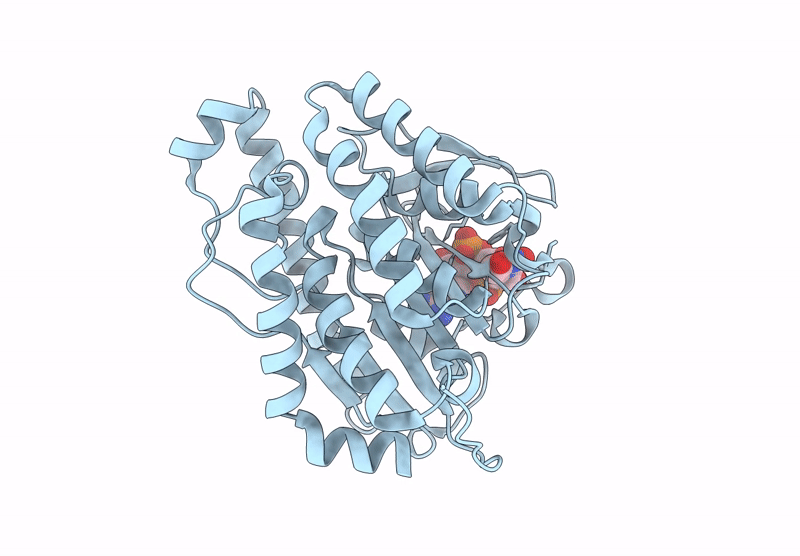 9IOQ image