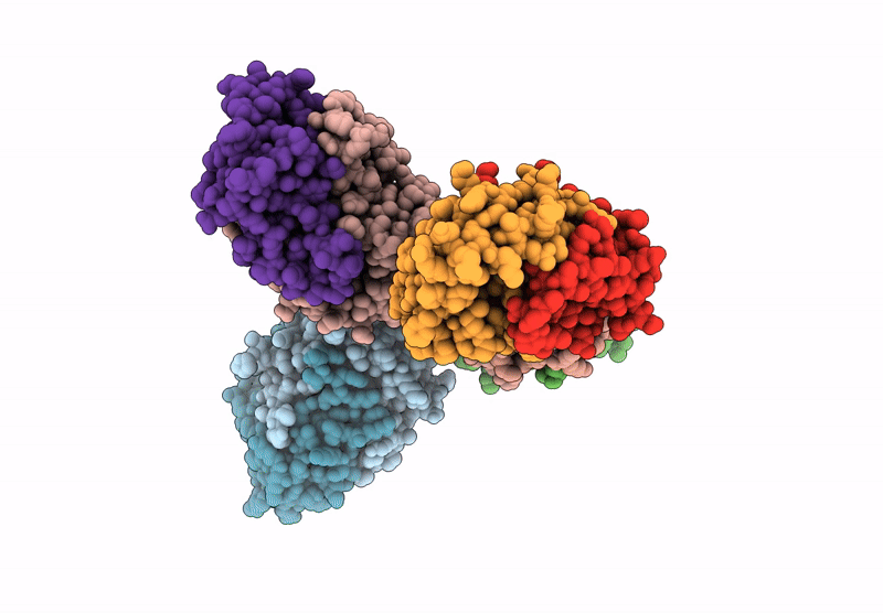 9IPR image