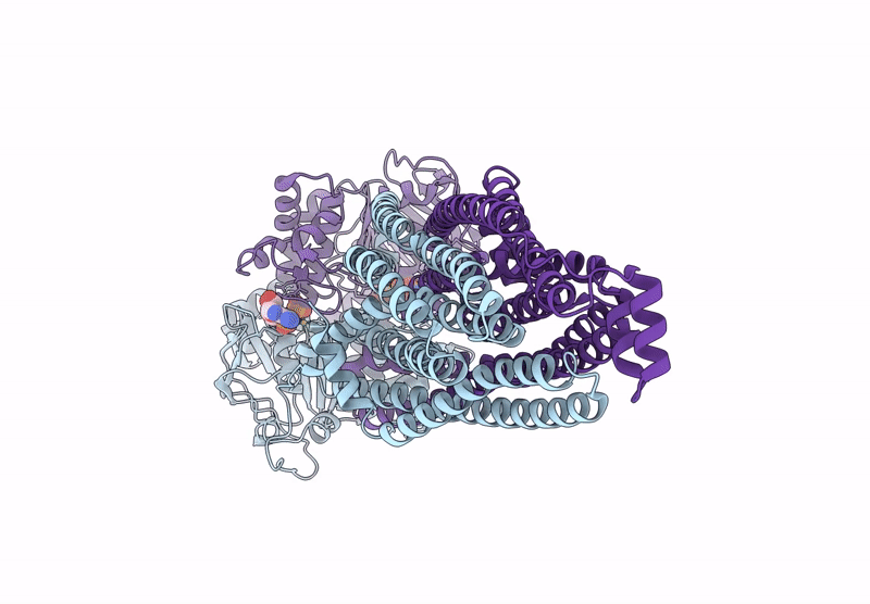 9IQG image