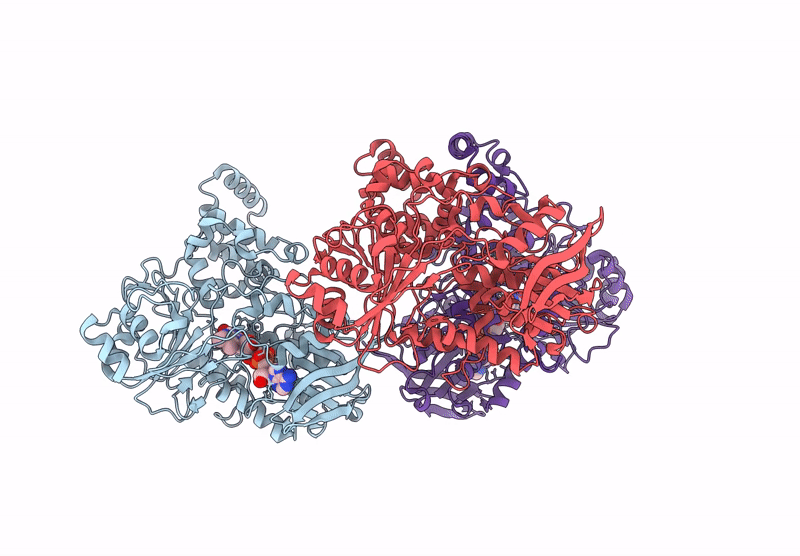 9IQI image