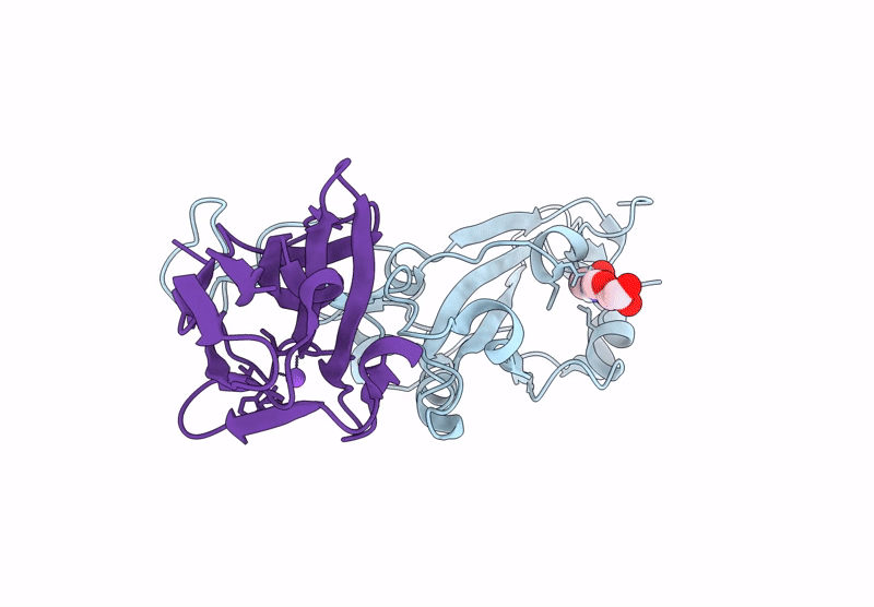 9IQP image