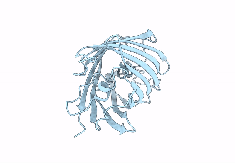 9IRJ image