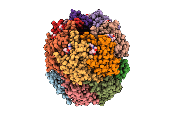 9IRM image