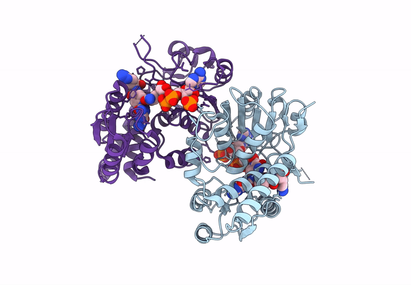 9ISC image