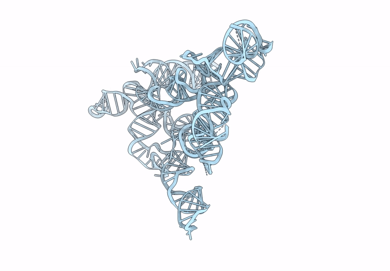 9ISV image