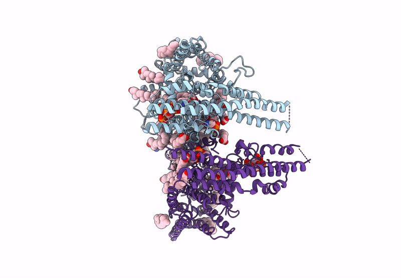 9IUC image