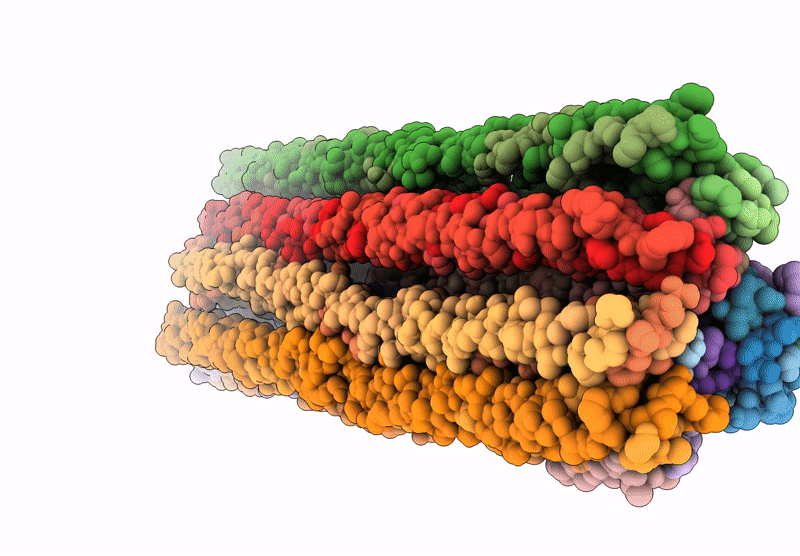 9IUS image