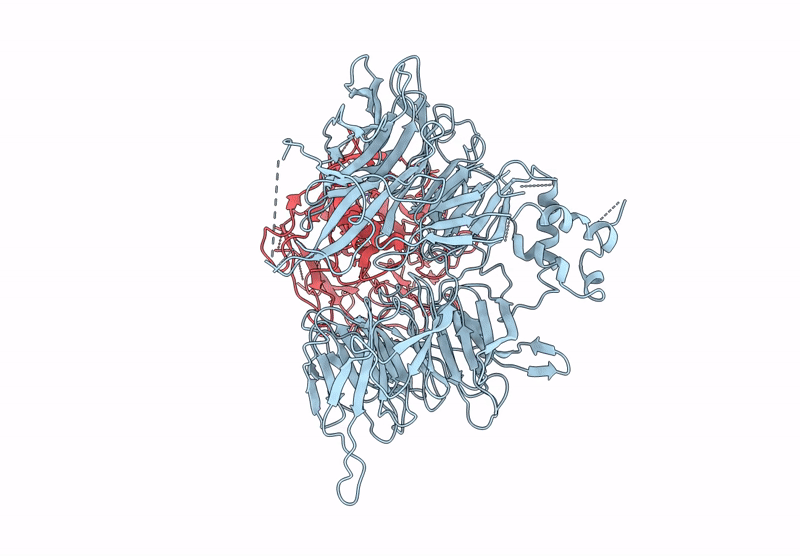 9IVD image