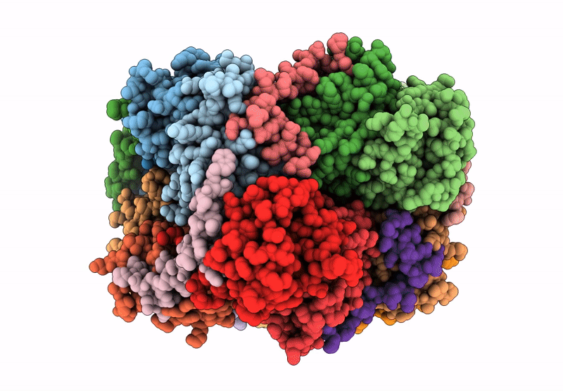 9IVR image