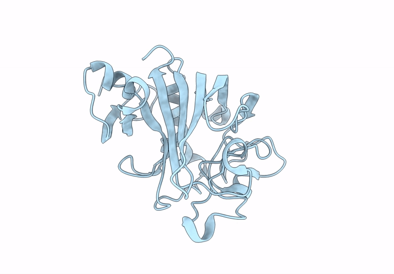 9IVT image