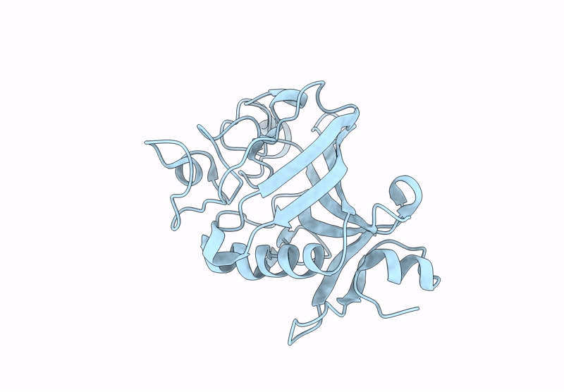 9IVU image