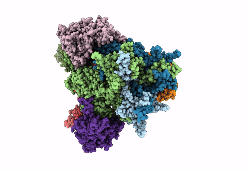 9IVX image