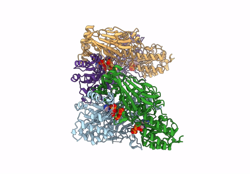 9IWT image
