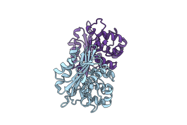 9IXO image