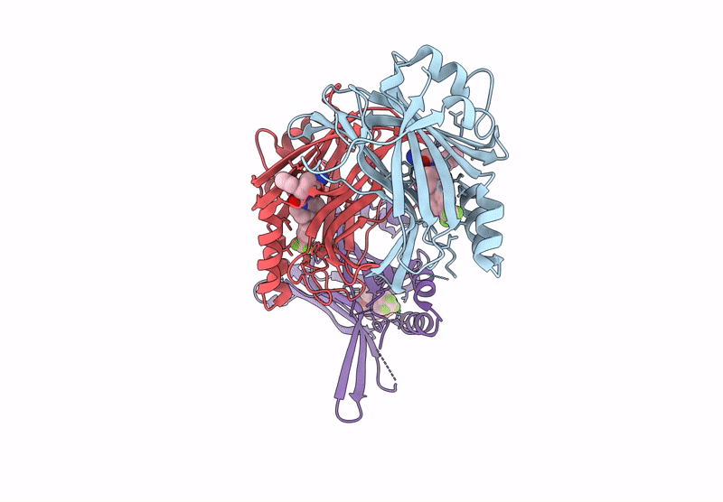 9IXT image