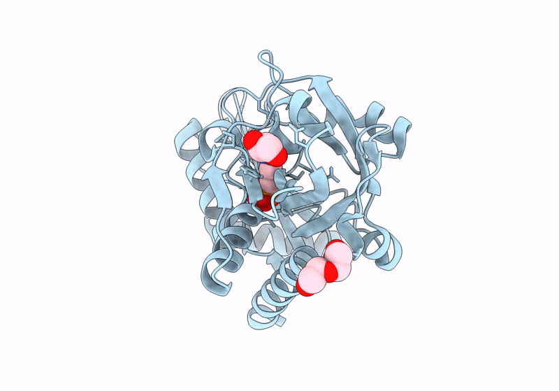 9J0V image