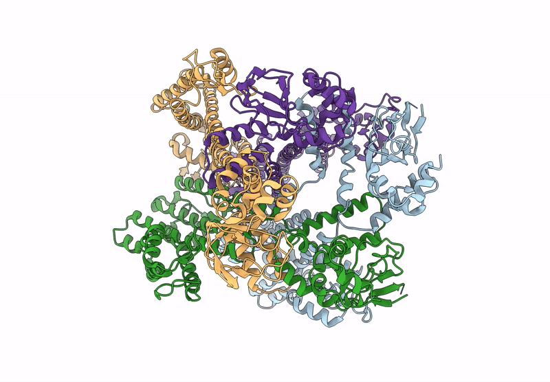 9J10 image