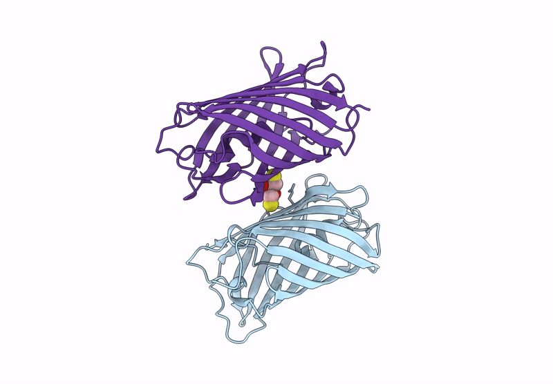 9J11 image