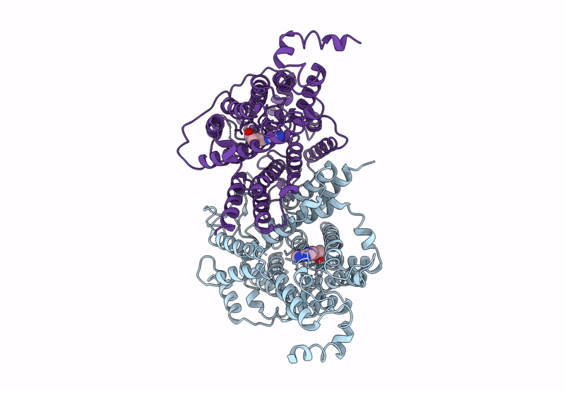 9J17 image