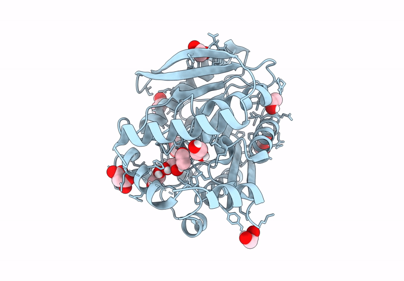 9J1E image