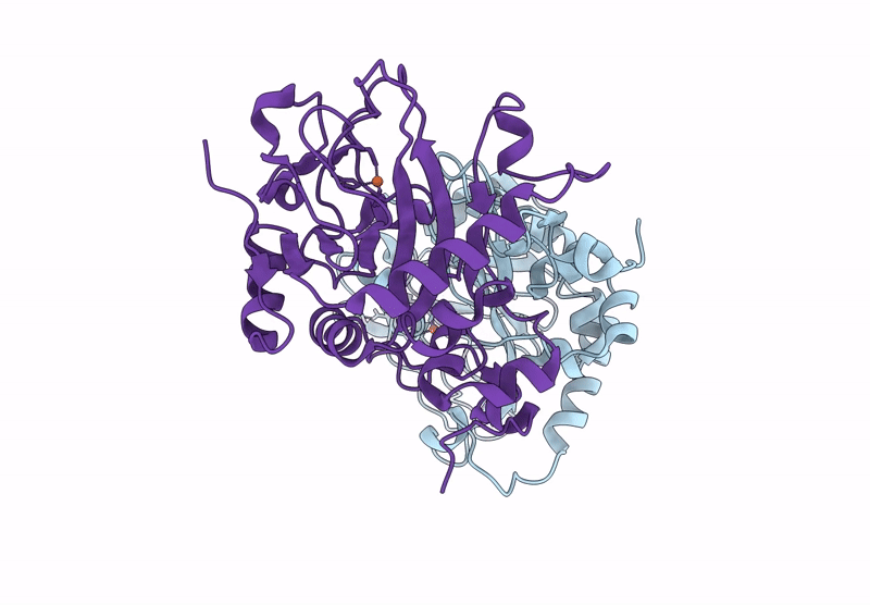 9J1I image