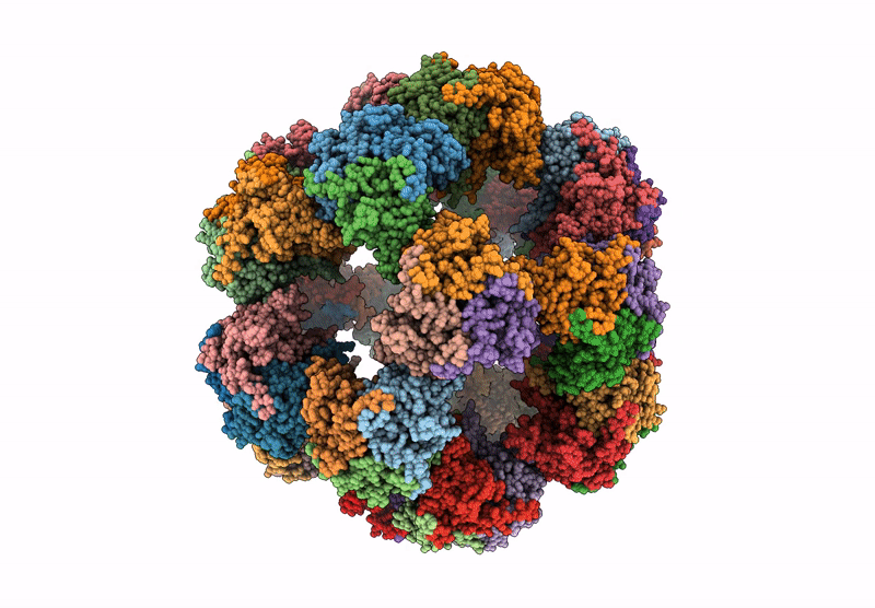 9J1W image