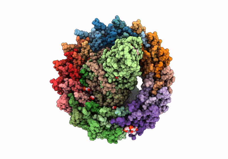 9J2F image