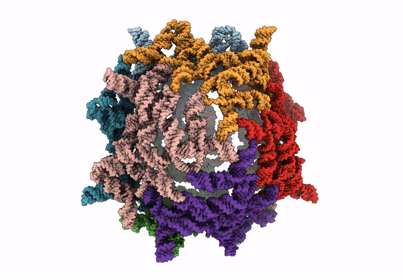 9J3T image